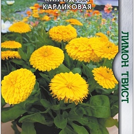 Календула карликовая Lemon Twist