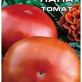 Томат (Помидор) обыкновенный Медвежья Лапа