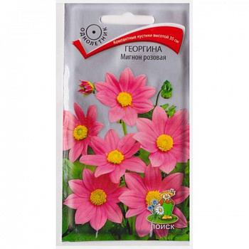Георгина Мигнон розовая