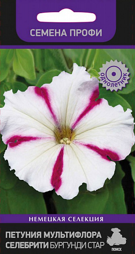 Петуния мультифлора Селебрити Бургунди Стар