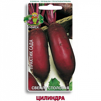 Свёкла столовая Цилиндра