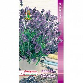 Лаванда декоративная Услада