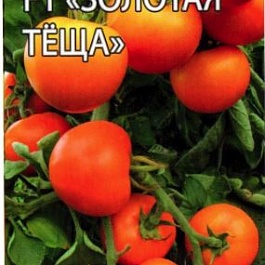 Томат (Помидор) обыкновенный Золотая тёща
