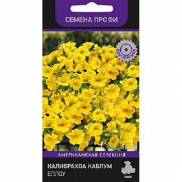 Калибрахоа  Каблум Еллоу