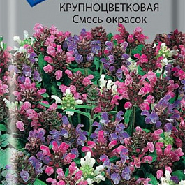 Черноголовка крупноцветковая Смесь окрасок