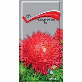 Астра гремлин Ред