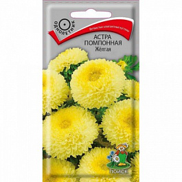 Астра помпонная Желтая