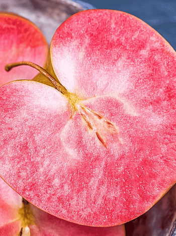 Яблоня Цирцея