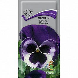 Анютины глазки Мальвина