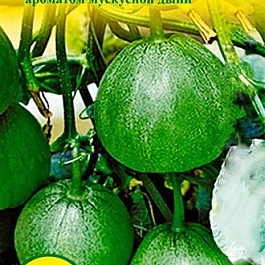 Огурдыня гибридная Green Beauty F1