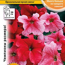 Петуния F1 Русский размер Жаркое лето, смесь