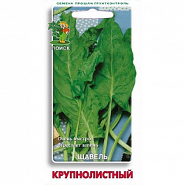 Щавель Крупнолистный