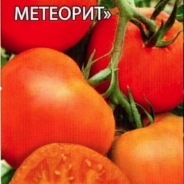 Томат (Помидор) обыкновенный Челябинский метеорит F1