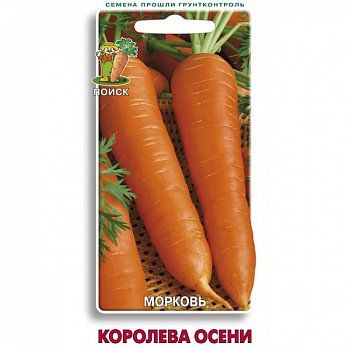 Морковь Королева осени