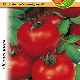Томат (Помидор) обыкновенный Верлиока F1