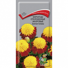 Бархатцы отклоненные махровые Золотая головка