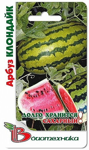 Арбуз  Клондайк