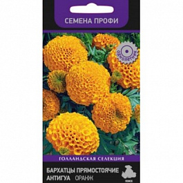 Бархатцы прямостоячие Антигуа Оранж