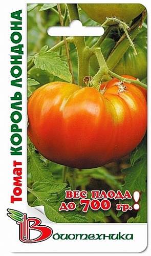 Томат (Помидор) обыкновенный Король Лондона