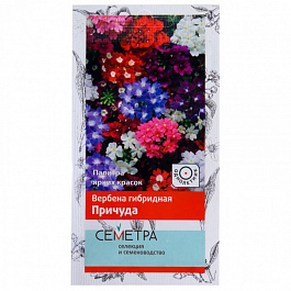 Вербена гибридная Причуда