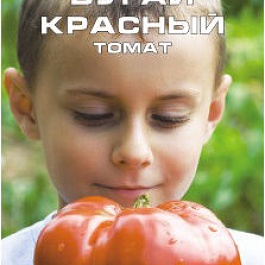 Томат (Помидор) обыкновенный Бугай Красный