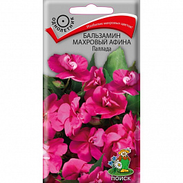 Бальзамин махровый Афина Паллада