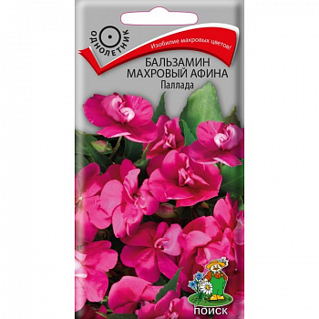 Бальзамин махровый Афина Паллада