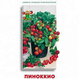 Томат Пиноккио