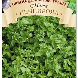 Мята  Пеннироял