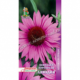 Эхинацея пурпурная Ливадия