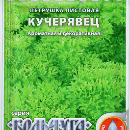 Петрушка Кучерявец