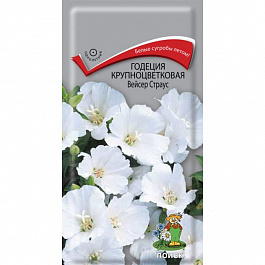 Годеция крупноцветковая Вейсер Страус