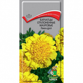 Бархатцы отклоненные махровые Лемон дроп