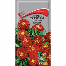 Бархатцы отклоненные махровые Ред черри