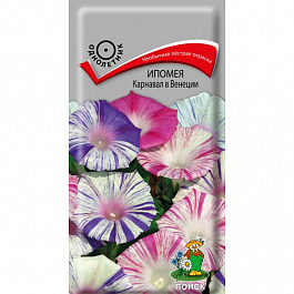 Ипомея Карнавал в Венеции