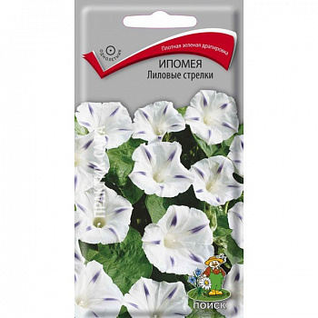 Ипомея Лиловые стрелки