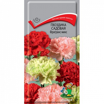 Гвоздика садовая Фрагранс Микс