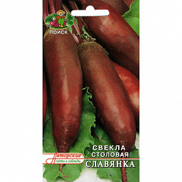 Свёкла столовая Славянка