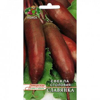 Свёкла столовая Славянка