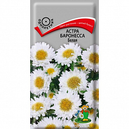 Астра Баронесса Белая