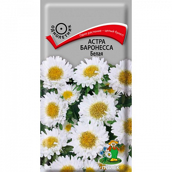 Астра Баронесса Белая