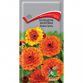Календула махровая Индиан принц