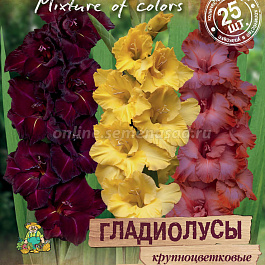 Гладиолус крупноцветковый Перо Жар-Птицы