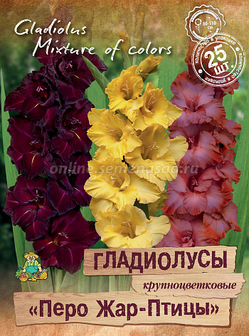 Гладиолус крупноцветковый Перо Жар-Птицы