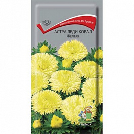 Астра Леди Корал Жёлтая