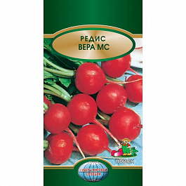 Редис Вера МС