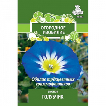 Вьюнок Голубчик