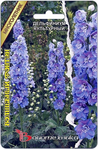 Дельфиниум (живокость) культурный Волшебный Фонтан