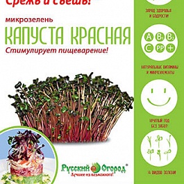 Микрозелень  Капуста красная