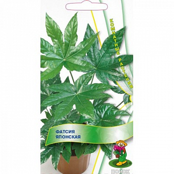 Фатсия японская